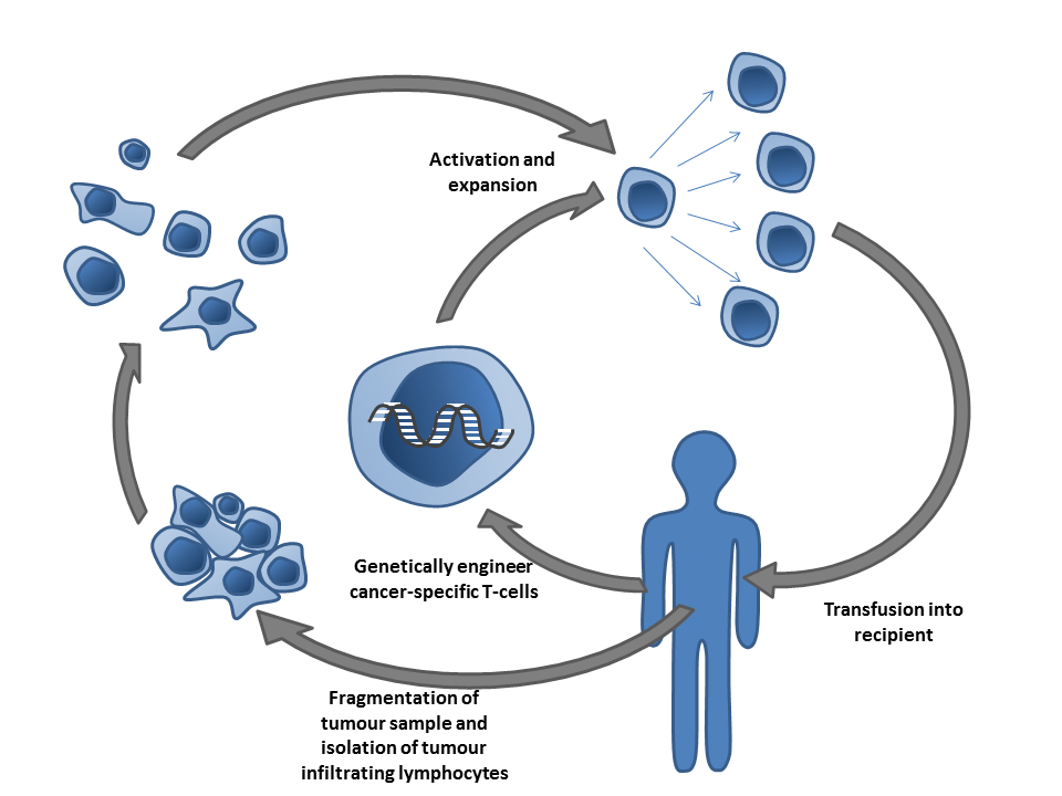 1B+ of VC So Far in 2014 Has Immunotherapy’s Time