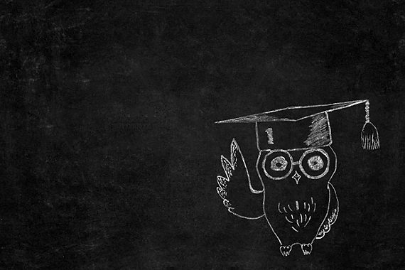 Edtech powerhouse Owl Ventures steps up ambitions with $1B in new funds