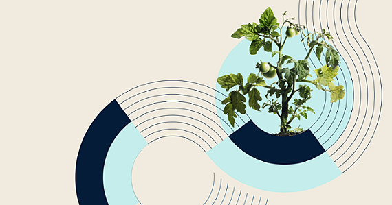 What is Agtech: Everything you need to know