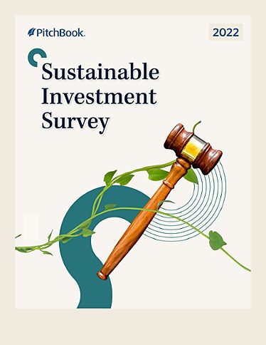 Sustainable Investment Survey