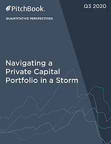 Quantitative Perspectives: Navigating a Private Capital Portfolio in a Storm