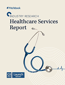 Healthcare Services Report