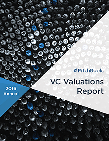 Annual VC Valuations Report