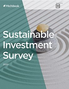 Sustainable Investment Survey